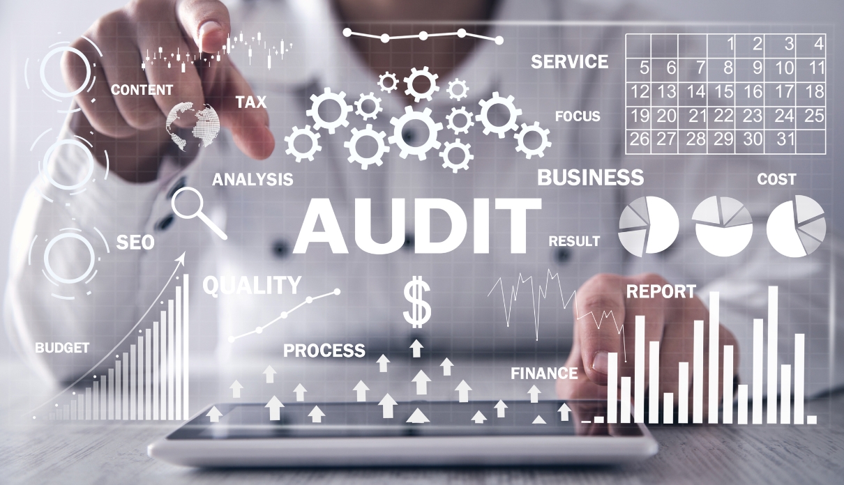 Site Audit